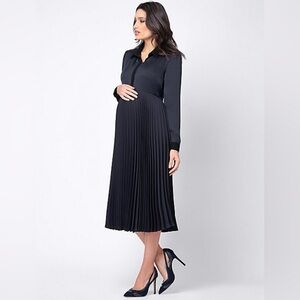 Seraphine Pleated Maternity and Nursing Dress